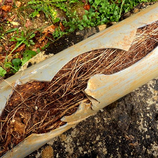 The Drain & Sewer Professionals In Houghton